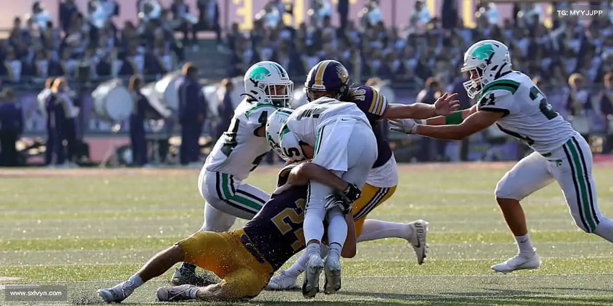 为什么选择我们